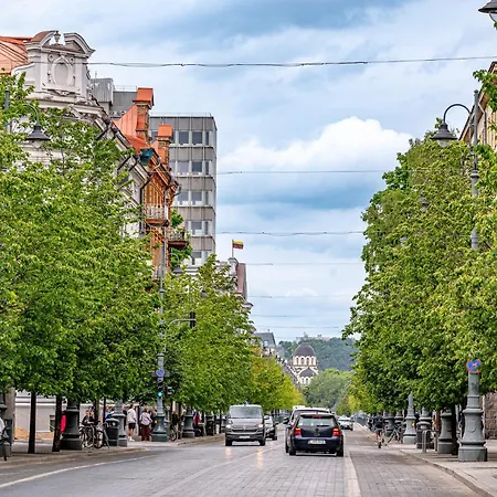 Luxury Gedimino Pr Downtown With Parking Апартаменти *